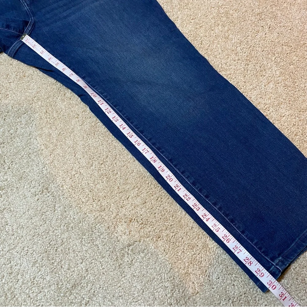 Lane Bryant lane bryant